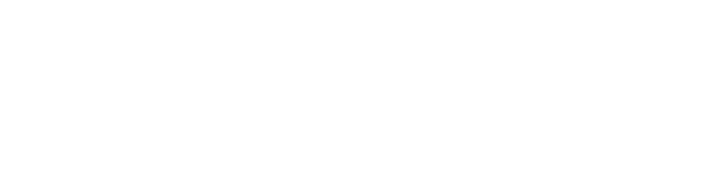 zorluenerjilogo
